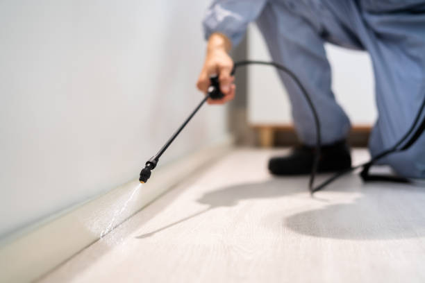 Licensed Pest Control service in McClure, PA - Show Me Pest Control
