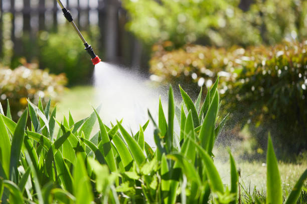 Tamper-Resistant Bait Stations for Rodents in McClure