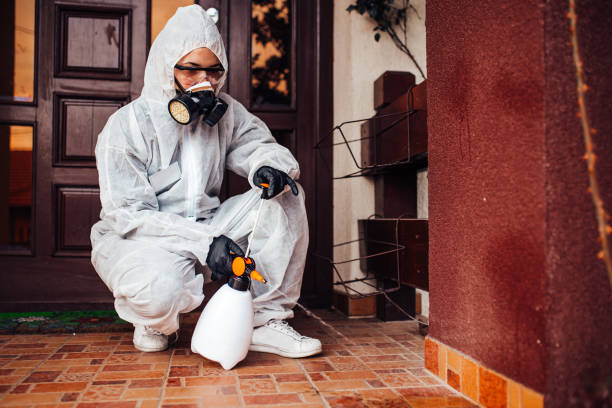 Attic and Crawl Space Rodent Treatment in McClure