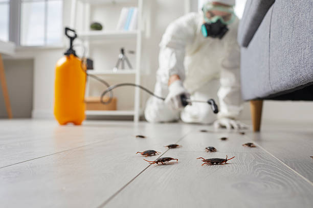 Commercial Rodent Management in McClure